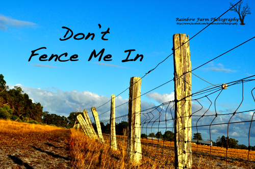 don't fence me in logon