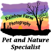 Rainbow Farm Photography Blog